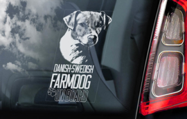 Dansk-Svensk Gardshund - Danish-Swedish Farmdog V01