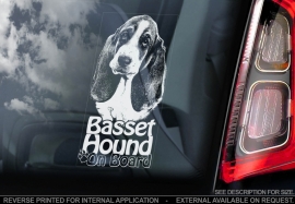 Basset Hound V02