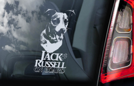 Jack Russel Terrier V07