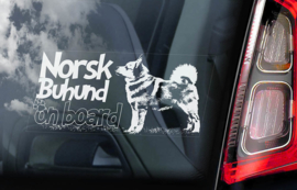 Norsk Buhund V01