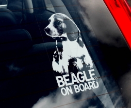 Beagle V01