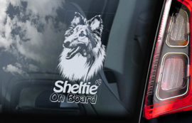 Shetland Sheepdog V01 - Sheltie V03