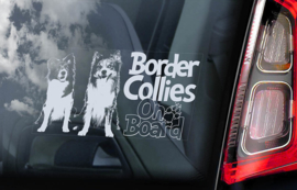 Border Collie V08