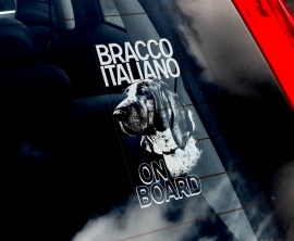 Bracco Italiano - Italiaanse Brak V01