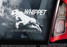 Whippet V02