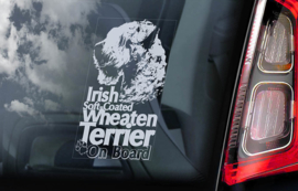 Irish Softcoated Wheaten Terrier V02
