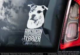American Stafforshire Terrier  V4