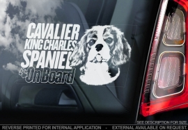 Cavelier King Charles Spaniel V02