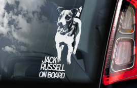 Jack Russel Terrier V01
