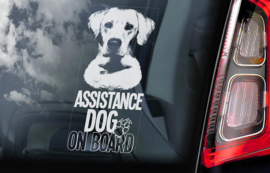 Geleide hond - assistance dog - Guide Dog V01