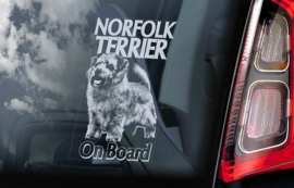 Norfolk Terrier V02