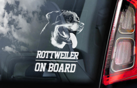 Rottweiler V01