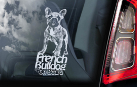 Franse Bulldog - French Bulldog - V03