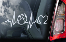 Paw Heartbeat