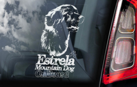 Cão da serra da estrela - Estrela Mountain Dog - V01