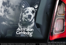 Australian Cattle Dog V03