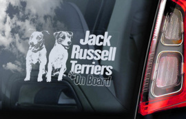 Jack Russel Terrier V06