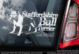 Staffordshire Bull Terrier V10