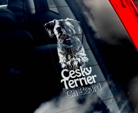 Cesky Terrier V01