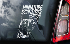 Dwerg Schnauzer - Miniature Schnauzer  V02