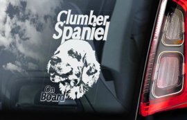 Clumber Spaniel V01