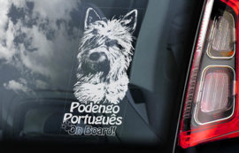 Podengo  Portugues V02