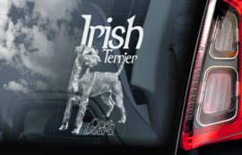 Ierse Terrier - Irish Terrier V01