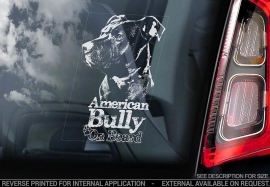 American Bully V02