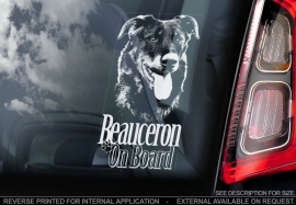 Beauceron V01