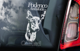 Podenco Andalucia V01