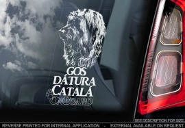 Gos datura Catala - Catalaanse Herder - Catalan Sheepdog V01