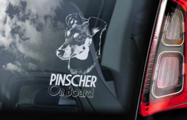 Pinscher V03