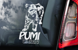 Pumi  V01