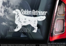 Golden Retriever V04