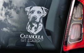 Catahoula Leopard Dog V01