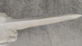 Oud goudfazant beeldje