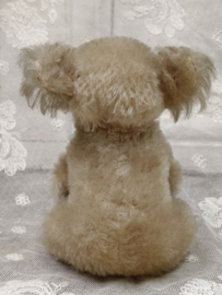 Oude koala, Steiff