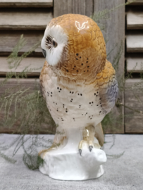 Oude uil