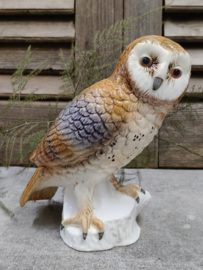 Oude uil