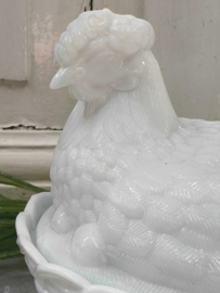 Oude eierschaal