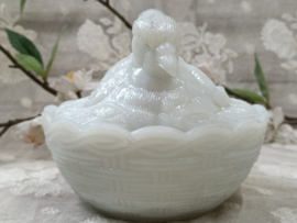 Oude opaline duif op mandje