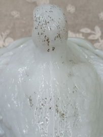 Oude opaline duif op mandje