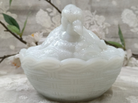 Oude opaline duif op mandje