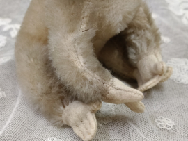 Oude koala, Steiff