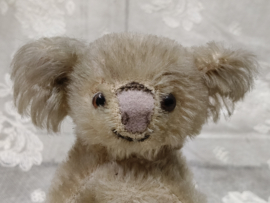 Oude koala, Steiff