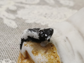 Oud schoentje met kat en muis