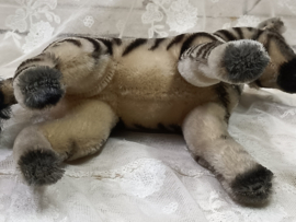 Oude zebra