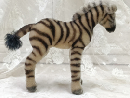 Oude zebra