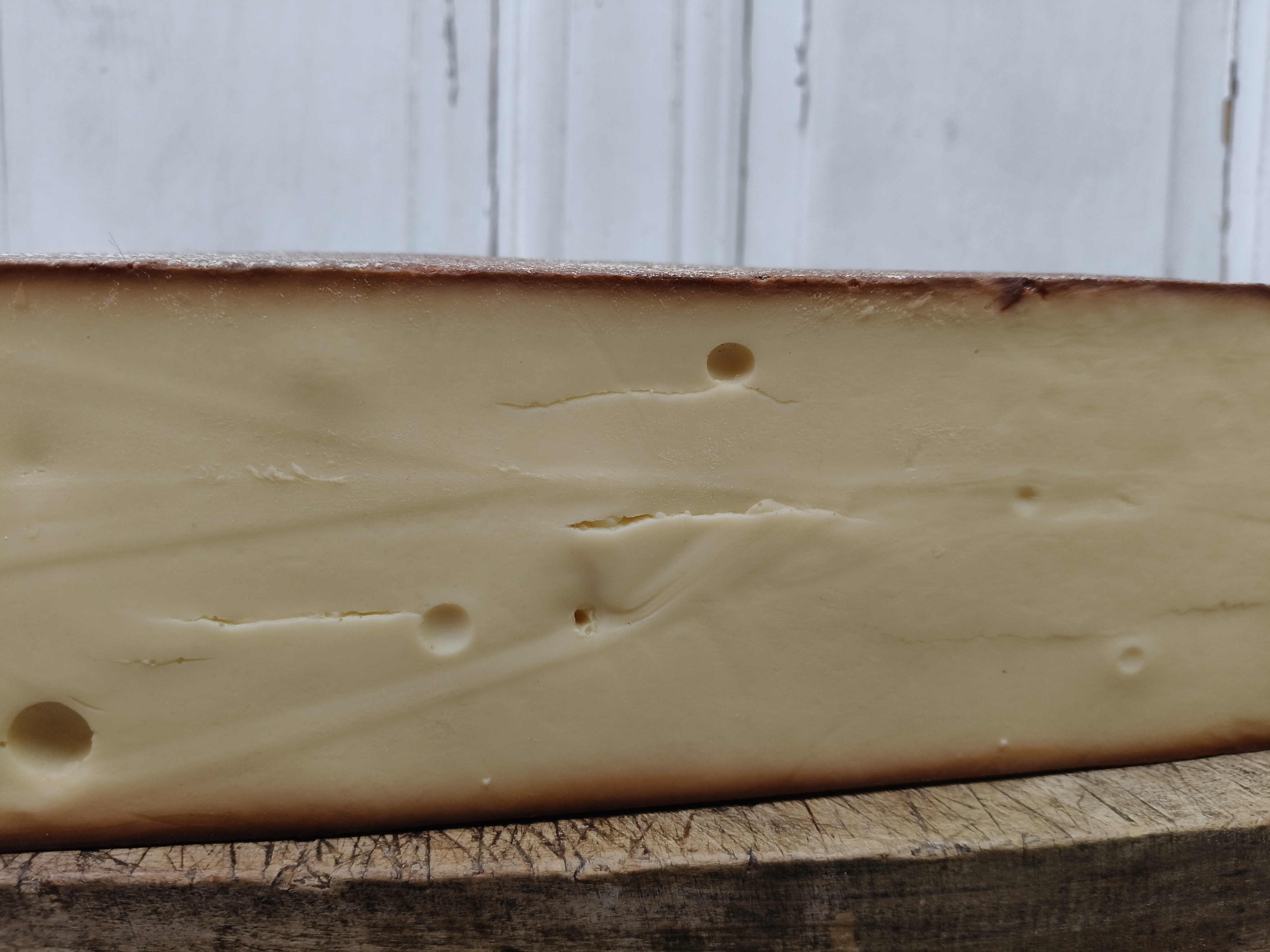 Dummy kaas 'Comte'