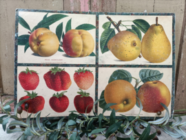 Oude Franse schoolplaat, fruit